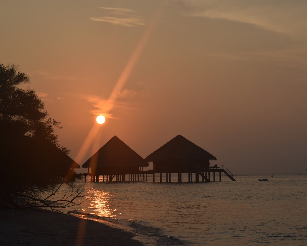 Călătoria este o vânătoare de&nbsp;peisaje