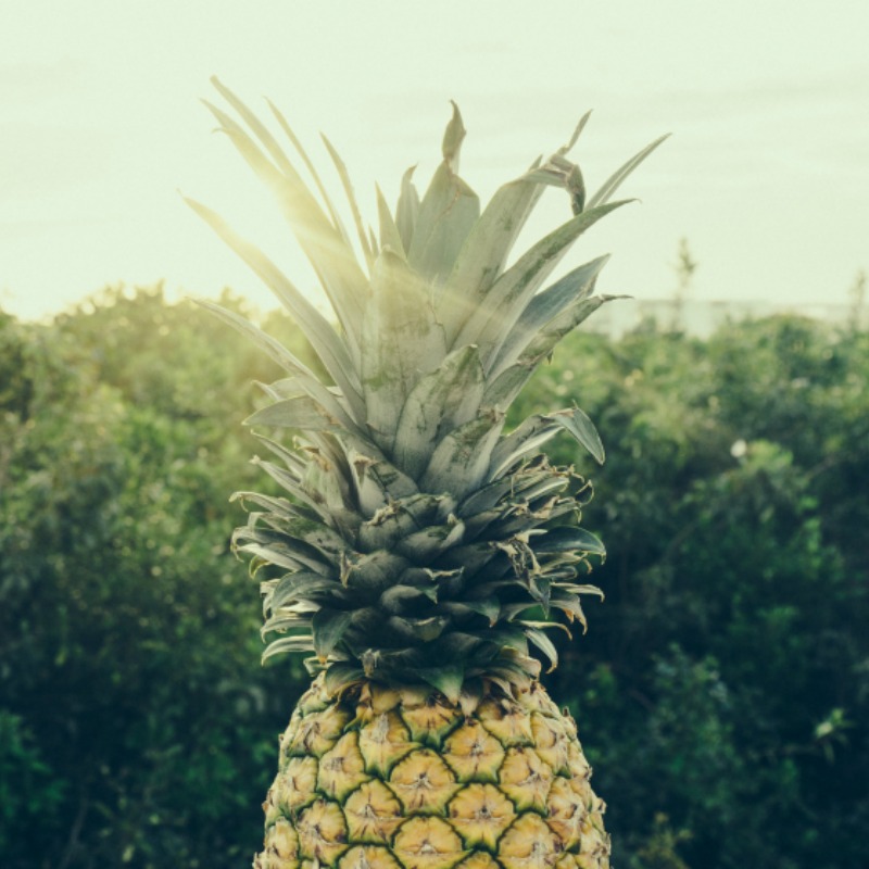 ANANAS
