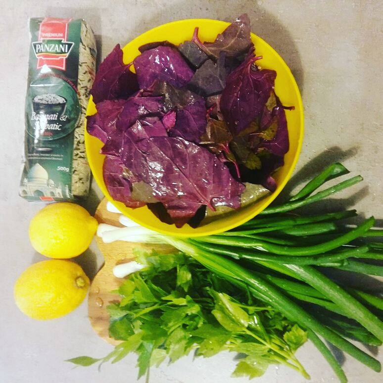 18516274_1469846773036478_408138571_n