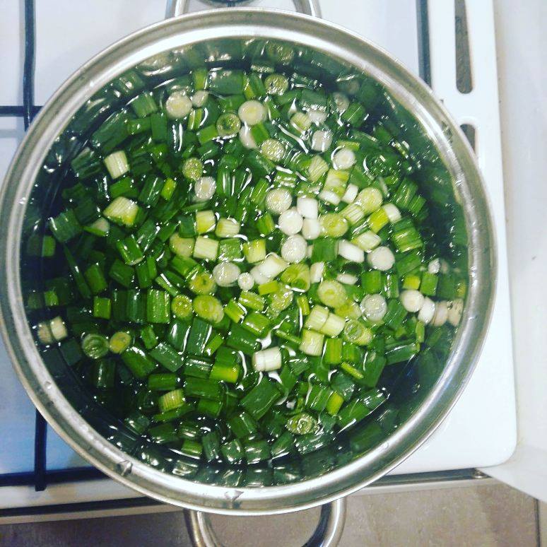 18554530_1469846766369812_2118116734_n