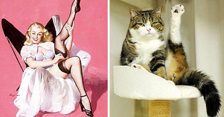 24-hilarious-photos-cats-posing-like-pin-girls-758x397