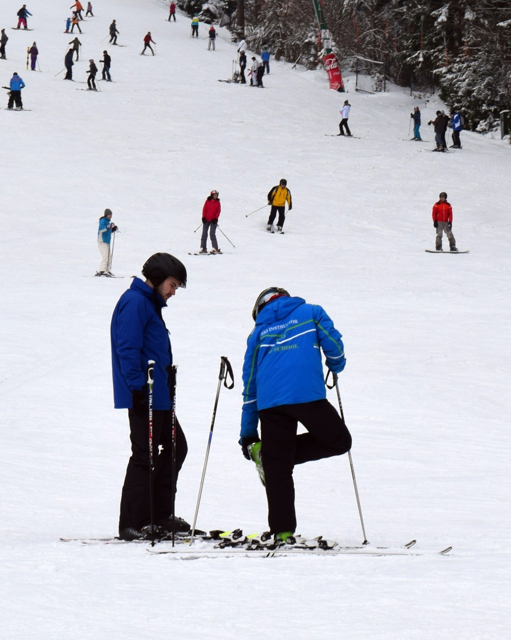 Articol fără titlu 5061